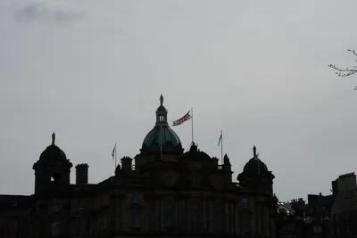 DSC_7395 (Large).JPG